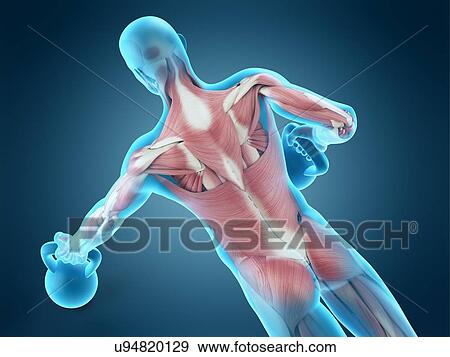 Stock Photo - Person lifting kettle bell, illustration. Fotosearch