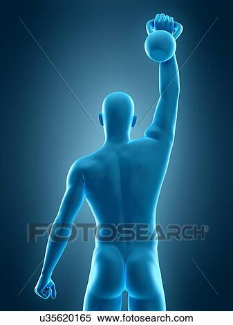 Person lifting kettle bell, illustration View Large Photo Image Stock Photography - Person lifting kettle bell, illustration. Fotosearch