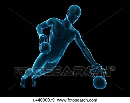 Stock Photo - Person lifting kettle bells, illustration. Fotosearch