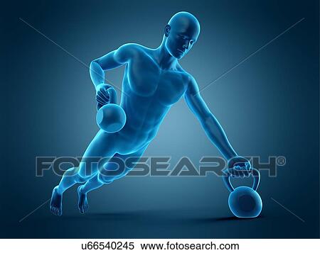 Stock Photography - Person lifting kettle bells, illustration. Fotosearch