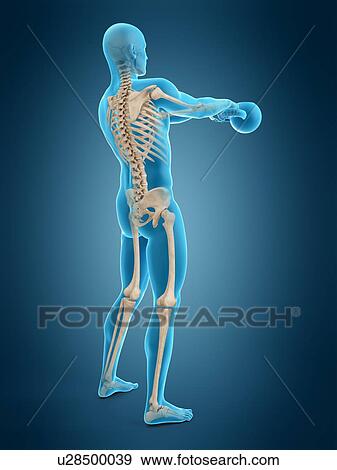 Stock Photo - Person swinging kettle bell, illustration. Fotosearch