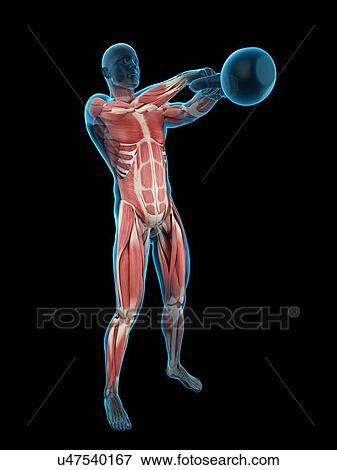 Stock Photo - Person swinging kettle bell, illustration. Fotosearch