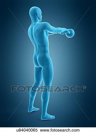 Stock Photography - Person swinging kettle bell, illustration. Fotosearch