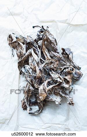 Petals from crocus flowers on paper View Large Photo Image Stock Image - Petals from crocus flowers on paper. Fotosearch