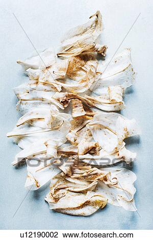 Stock Image - Petals from crocus flowers. Fotosearch