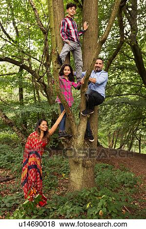 Portrait of family in forest, father and two children climbing tree View Large Photo Image Stock Photo - Portrait of family in forest, father and two children climbing tree. Fotosearch
