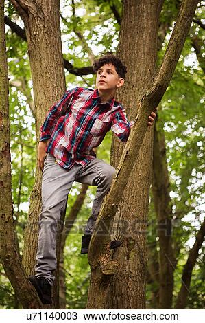 Portrait of teenage boy standing in tree View Large Photo Image Stock Image - Portrait of teenage boy standing in tree. Fotosearch
