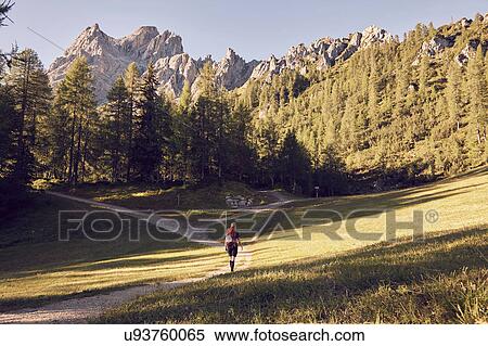 Stock Photography - Rear view of female hiker hiking towards Dolomites, Sexten, South Tyrol, Italy. Fotosearch