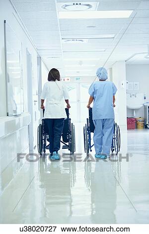 Stock Photo - Rear view of female orderlies pushing wheelchairs along hospital corridor. Fotosearch
