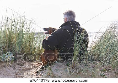 Stock Photo - Rear view of man and pet dog sitting on sand dunes, Constantine Bay, Cornwall, UK. Fotosearch