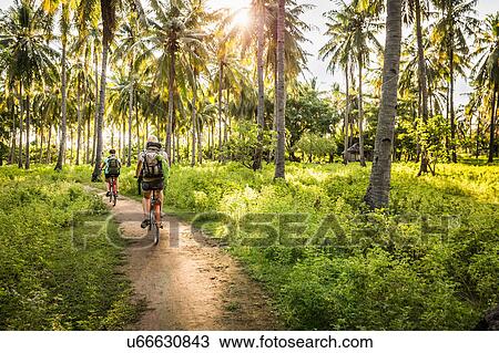 Stock Image - Rear view of two young women cycling in palm tree forest, Gili Meno, Lombok, Indonesia. Fotosearch