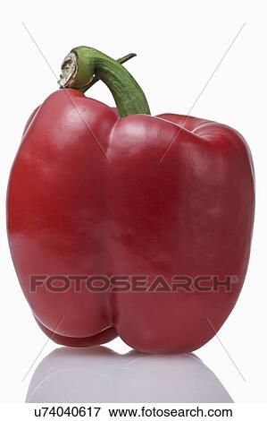 Red pepper against white background View Large Photo Image Stock Photo - Red pepper against white background. Fotosearch