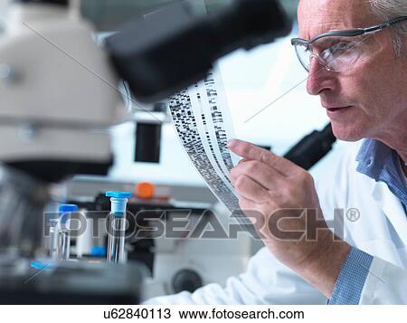 Stock Image - Researcher holding a DNA gel during a genetic experiment in a laboratory. Fotosearch