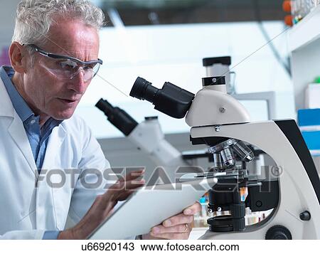 Stock Image - Researcher viewing information on digital tablet in a laboratory. Fotosearch