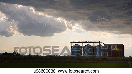 Stock Photo - Rice processing plant, Novara, Piedmont, Italy. Fotosearch