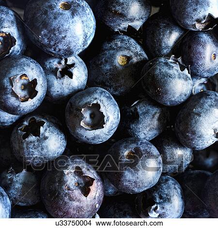 Ripe blueberries View Large Photo Image Picture - Ripe blueberries. Fotosearch
