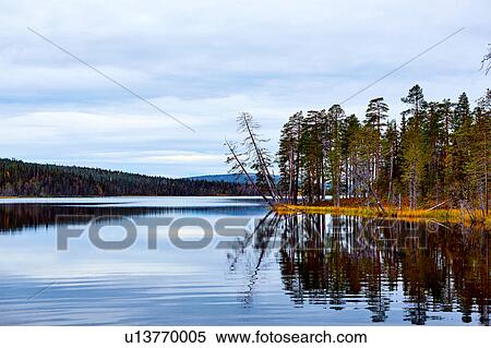 Scenic lake, Kesankijarvi, Akaslompolo, Lapland, Finland View Large Photo Image Stock Photography - Scenic lake, Kesankijarvi, Akaslompolo, Lapland, Finland. Fotosearch