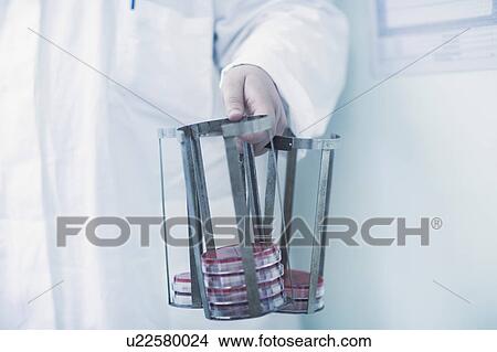 Picture - Scientist carrying rack with petri dishes in laboratory. Fotosearch