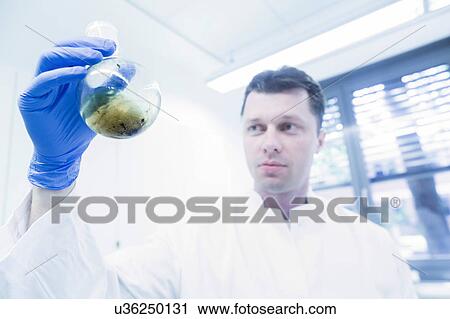Stock Image - Scientist examining sample in beaker. Fotosearch