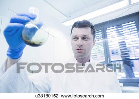 Scientist examining sample in beaker View Large Photo Image Stock Image - Scientist examining sample in beaker. Fotosearch