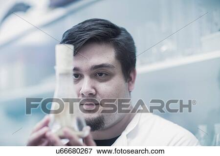 Scientist examining sample in beaker View Large Photo Image Stock Photo - Scientist examining sample in beaker. Fotosearch