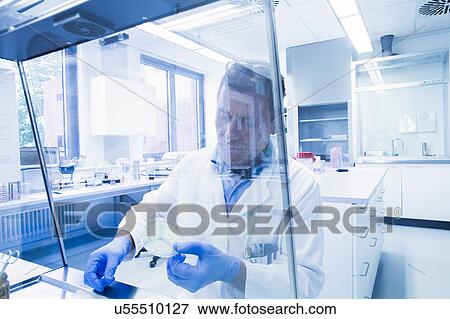 Stock Photo - Scientist examining sample inside petri dish in laboratory. Fotosearch
