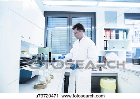 Scientist examining sample inside beaker in laboratory View Large Photo Image Stock Image - Scientist examining sample inside beaker in laboratory. Fotosearch