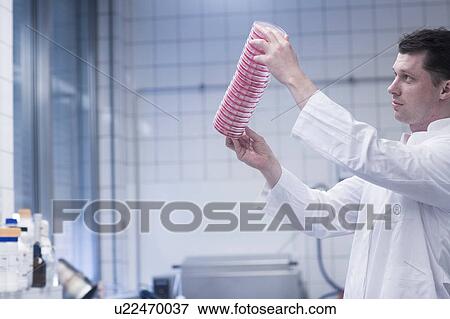 Stock Photo - Scientist holding up stack of petri dishes in laboratory. Fotosearch