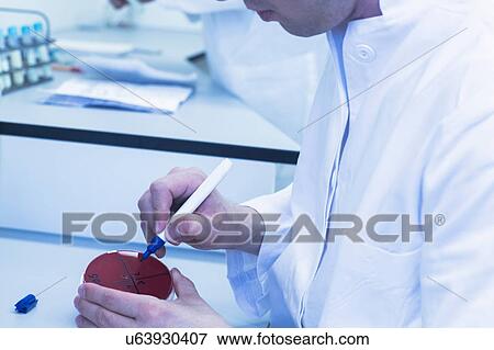 Stock Photo - Scientist marking petri dish with sample. Fotosearch