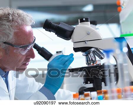 Stock Photo - Scientist preparing a sample slide containing a human specimen to view under a microscope in laboratory for medical testing. Fotosearch