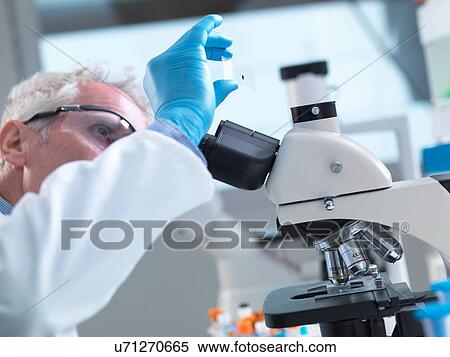 Stock Photography - Scientist preparing a sample slide containing a human blood specimen to view under a microscope in laboratory for medical testing. Fotosearch