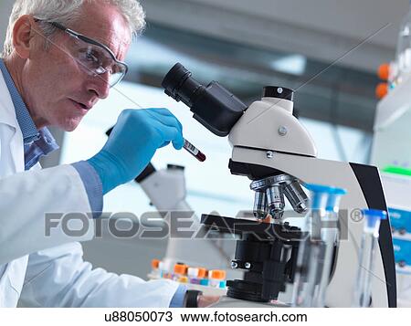 Stock Image - Scientist reading sample information on a blood sample ready to view under a microscope in laboratory for medical testing. Fotosearch