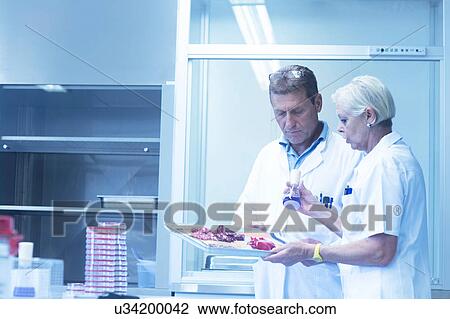 Stock Image - Scientists working in laboratory. Fotosearch