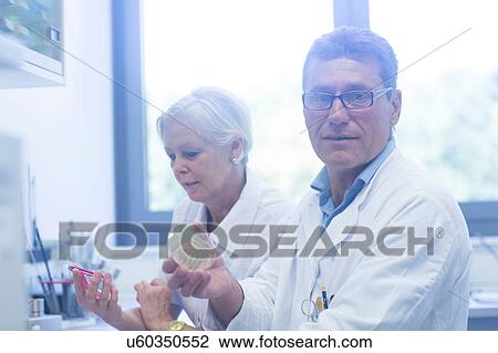 Stock Image - Scientists working in laboratory. Fotosearch