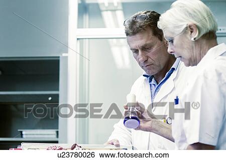 Scientists working in laboratory View Large Photo Image Stock Photograph - Scientists working in laboratory. Fotosearch