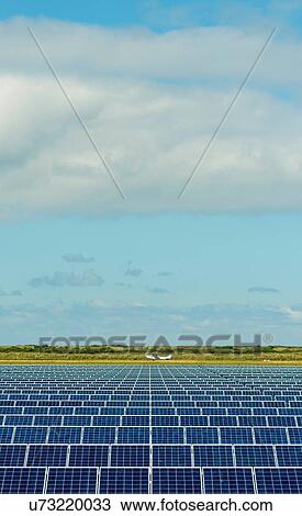 Stock Image - Solar panels and airplane in airfield, Ballum, Friesland, Netherlands. Fotosearch