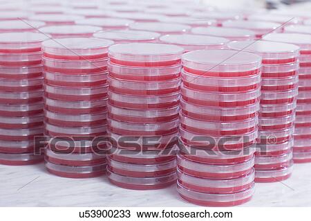 Stock Image - Stacks of petri dishes. Fotosearch
