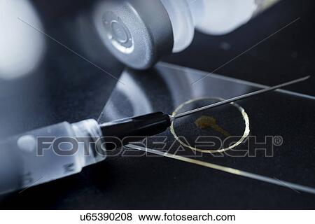 Stock Photo - Studio shot of syringe and vial. Fotosearch