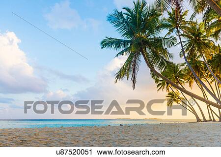 Sunset at beach, Maldives View Large Photo Image Stock Image - Sunset at beach, Maldives. Fotosearch