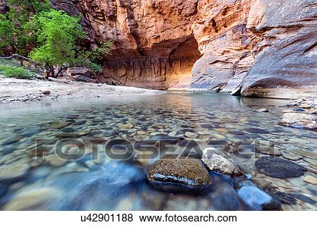 The Narrows, Zion National Park, Zion, Utah, USA View Large Photo Image Stock Photo - The Narrows, Zion National Park, Zion, Utah, USA. Fotosearch