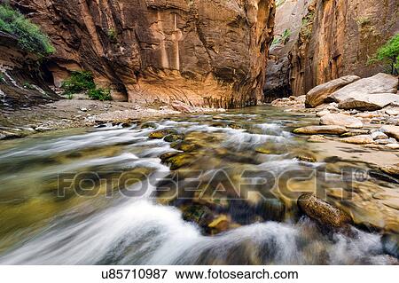 The Narrows, Zion National Park, Zion, Utah, USA View Large Photo Image Stock Photo - The Narrows, Zion National Park, Zion, Utah, USA. Fotosearch