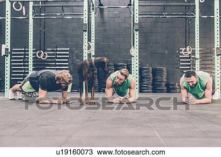 Stock Image - Three male cross trainers doing push-ups whilst dog looks back in gym. Fotosearch