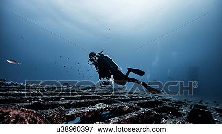 Stock Photo - Underwater view of diver exploring shipwreck, Jupiter, Florida, USA. Fotosearch