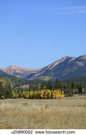 USA, Colorado, Kenosha Pass in fall View Large Photo Image Stock Image - USA, Colorado, Kenosha Pass in fall. Fotosearch