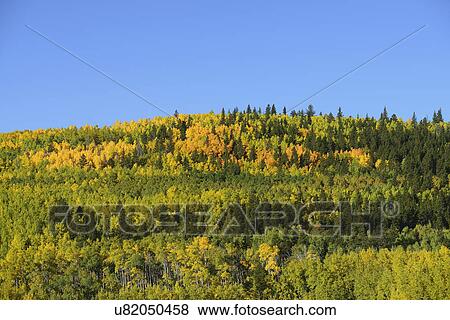 Stock Photo - USA, Colorado, Kenosha Pass in fall. Fotosearch