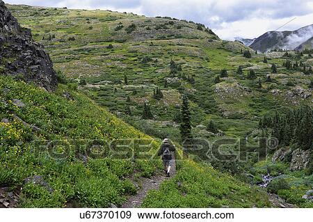 Stock Photo - USA, Colorado, Man walking down mountains in San Juan National Forest. Fotosearch