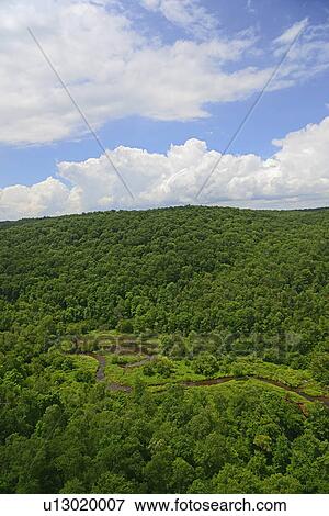 USA, Pennsylvania, Allegheny National Forest with narrow stream View Large Photo Image Stock Photo - USA, Pennsylvania, Allegheny National Forest with narrow stream. Fotosearch