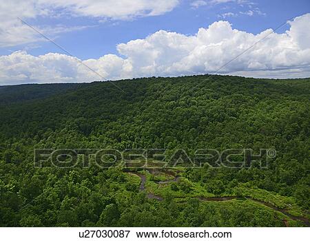 USA, Pennsylvania, Allegheny National Forest with narrow stream View Large Photo Image Stock Photo - USA, Pennsylvania, Allegheny National Forest with narrow stream. Fotosearch