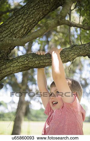 USA, Pennsylvania, Washington Crossing, Boy (4-5) hanging on branch View Large Photo Image Stock Image - USA, Pennsylvania, Washington Crossing, Boy (4-5) hanging on branch. Fotosearch