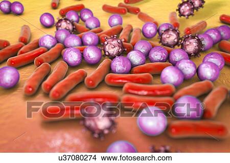 Picture - Various microbes, illustration. Fotosearch